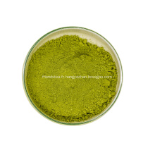 Poudre de matcha à thé vert